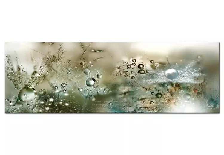 Canvas Print Weeping Dandelions (1-piece) - Water Droplets Glistening on Flowers