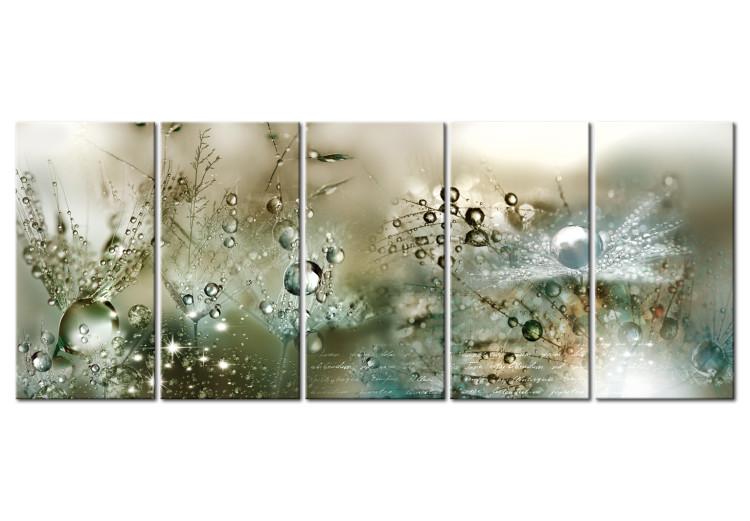 Canvas Print Fluffy Dandelions (5-piece) - Flowers with Water Droplets in Greenery