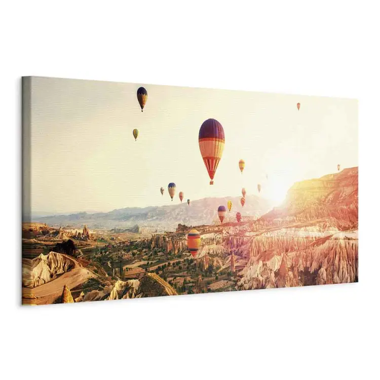 Balloon Rides