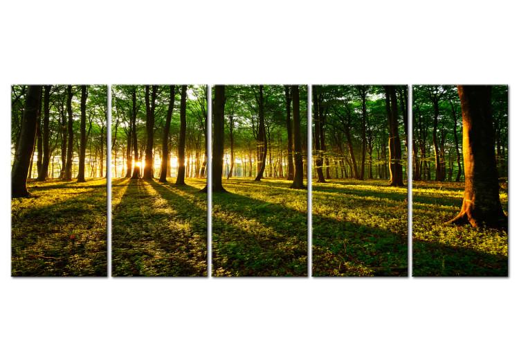Canvas Print In the Shade of Trees (5-piece) - Landscape with View of Forest and Sun
