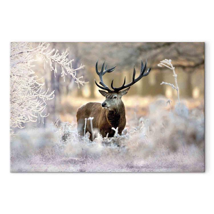 Canvas Print Deer in the Cold