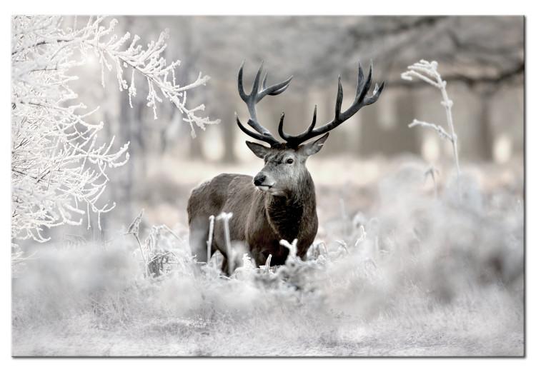 Canvas Print Lonely Deer