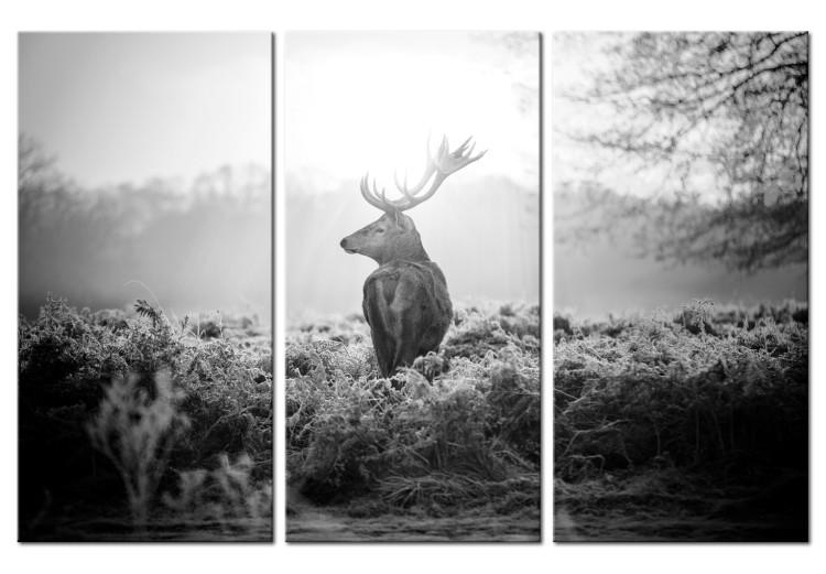 Canvas Print Deer in Nostalgia (3-piece) - Black and White Stag Figure in Field