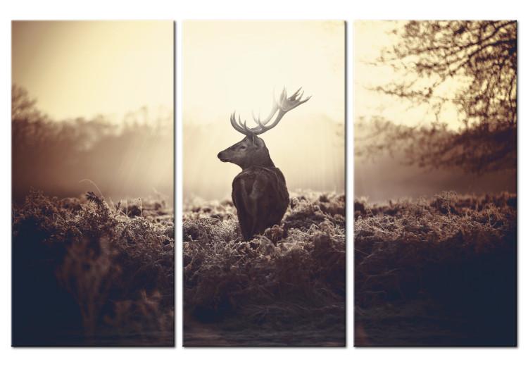 Canvas Print Lurking Deer I