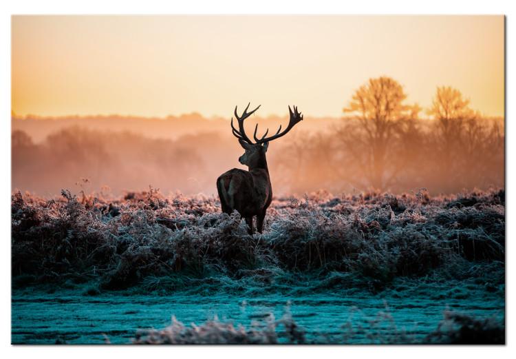 Canvas Print Frosty Field (1-piece) - Landscape with Deer and Sunset