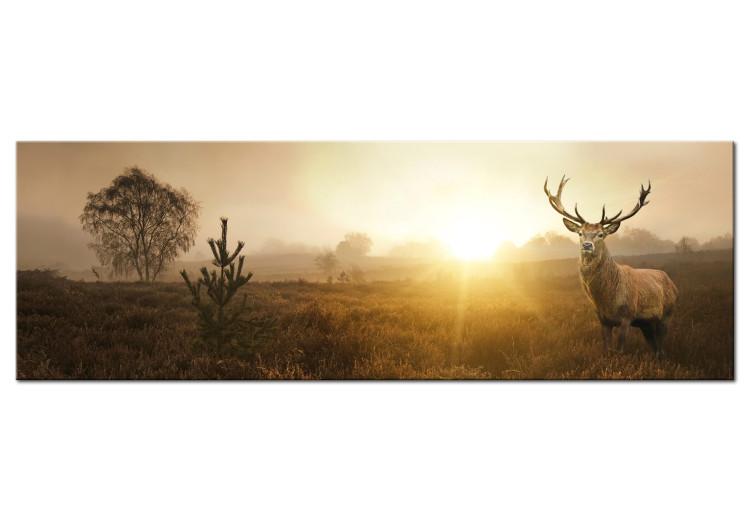 Canvas Print Misty Morning (1-piece) - Grass Fields with Deer and Trees