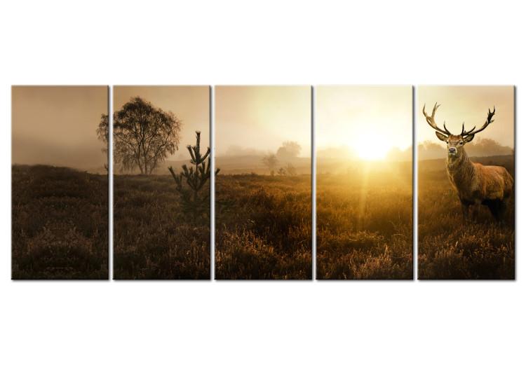Canvas Print Morning Fields (5-piece) - Deer amidst Grass and Distant Trees