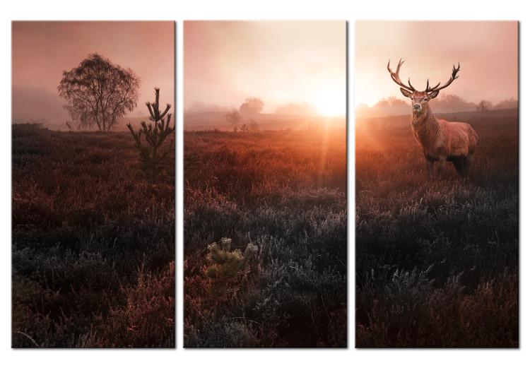 Canvas Print Deer in Sunlight (3-piece) - Red Landscape with Trees in Background