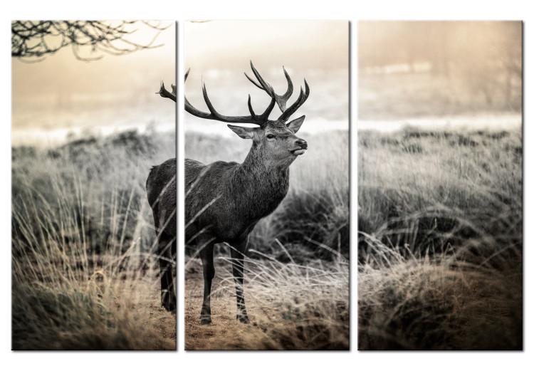 Canvas Print Horns of Dread I (3-piece) - Landscape in Beige Tone with Deer in Field