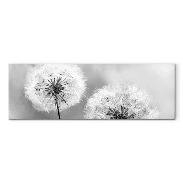 Canvas Print Summer Memories (1-piece) - Black and White Romantic Dandelions