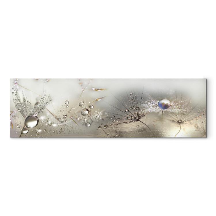 Canvas Print Dandelions in Fog (1-piece) - Romantic Beige Summer Flowers