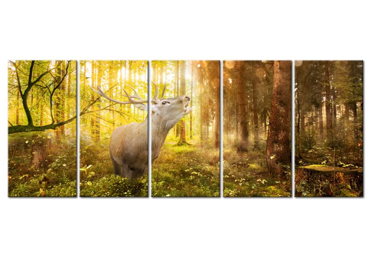 Canvas Print Roar in the Forest I