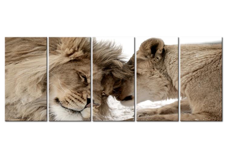 Canvas Print Whisper of Love I (5-piece) - Romantic Shot with a Pair of Wild Cats