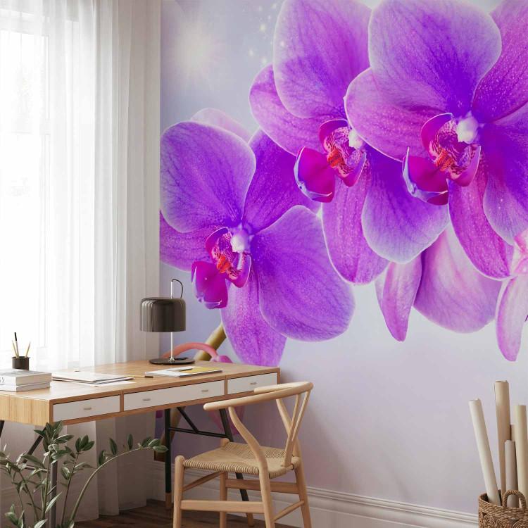 Wall Mural Purple orchids - floral motif on a background with light glow effect