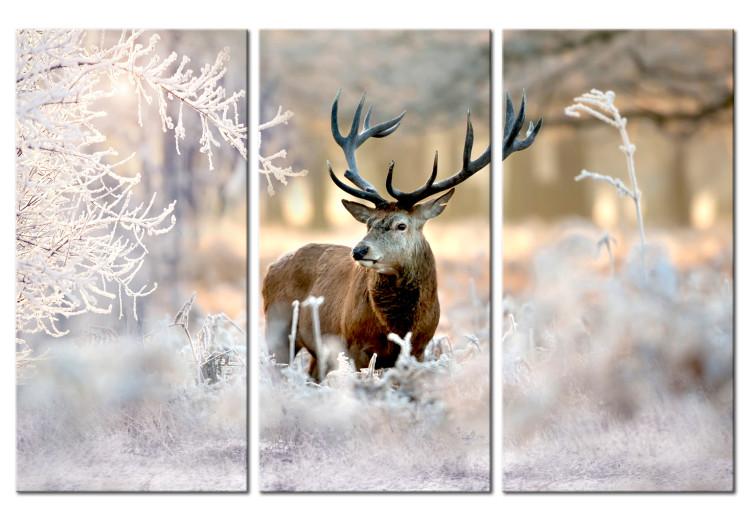 Canvas Print Deer in the Cold I