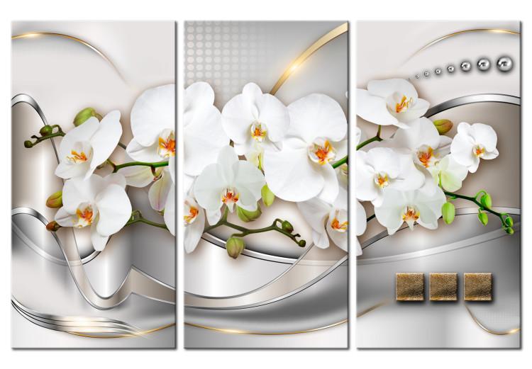 Canvas Print Blooming Orchids I
