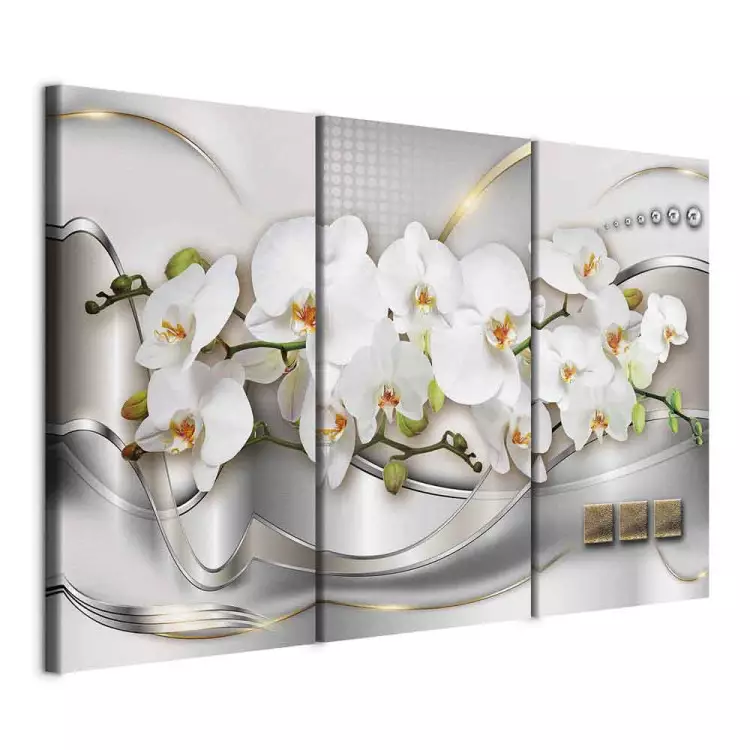 Blooming Orchids I