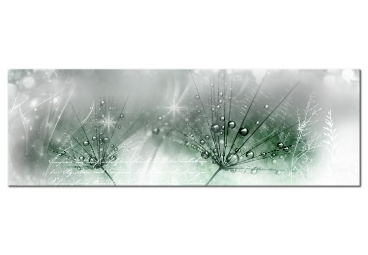 Canvas Print Dew Drops (1-part) Narrow - Dandelion Flowers Surrounded by Glow