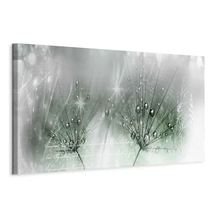 Dew Drops Narrow - Dandelion Flowers Surrounded by Glow