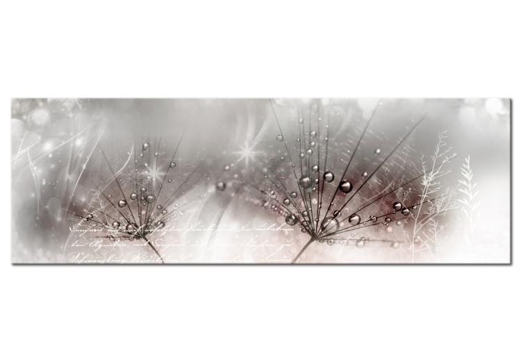 Canvas Print Dew Drops (1-part) Narrow - Flowers Surrounded by Pink Glow
