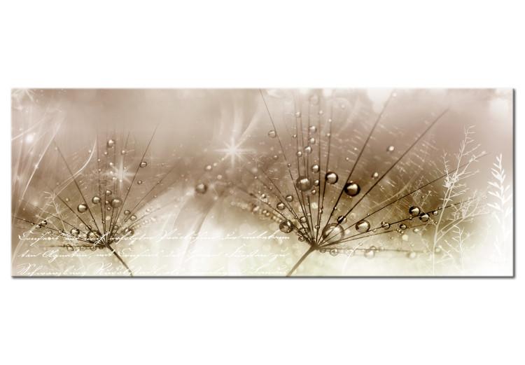 Canvas Print Drops of Dew (1 Part) Brown Wide