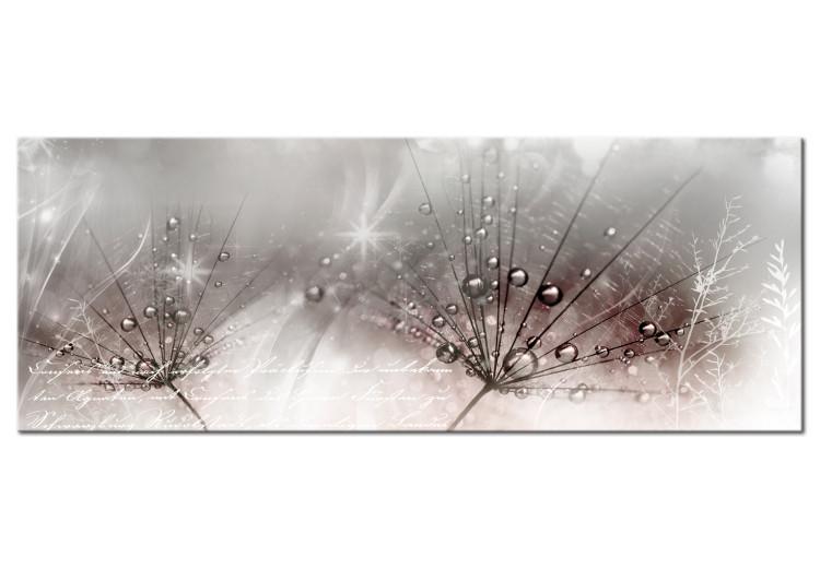 Canvas Print Dew Drops (1-part) Wide - Flowers Surrounded by Pink Glow