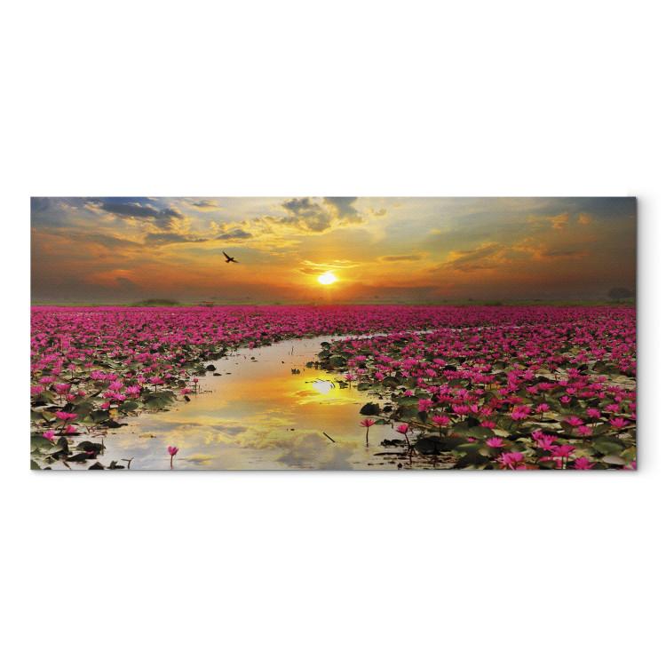Canvas Print Lily Field (1 Part) Wide