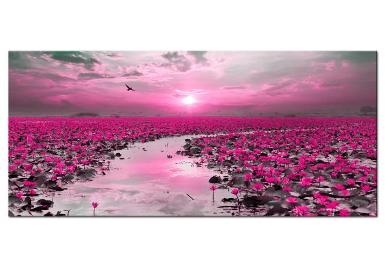 Canvas Print Lilies and Sunset (1-part) Wide - Landscape of Flower Field