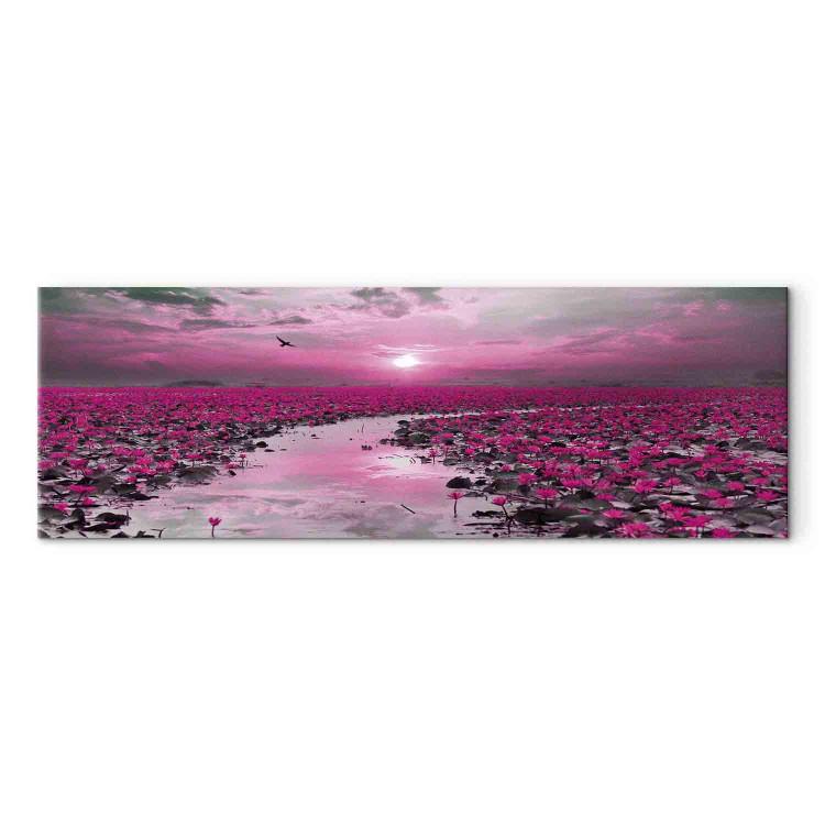 Canvas Print Lilies and Sunset (1-part) Narrow - Landscape of Purple Plants