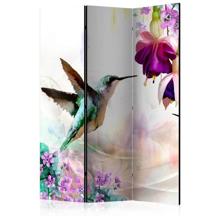 Room Divider Hummingbirds and Flowers - colorful bird and summer plants on a multicolored background