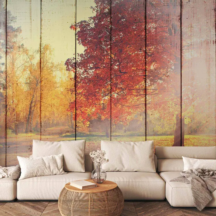 Autumn Sun - Trees with colorful leaves on wooden plank background