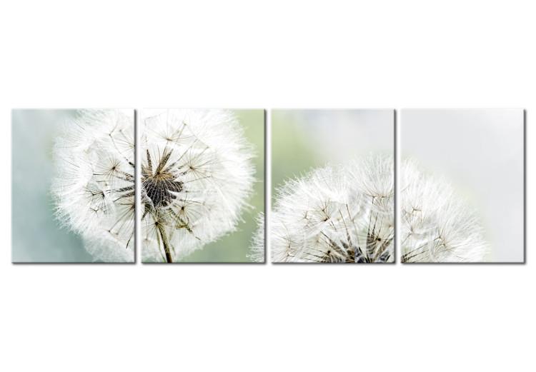 Canvas Print Fluffy Dandelions (4-part) Green - Dandelion as a Summer Flower
