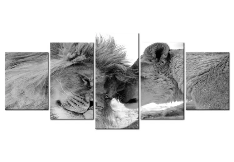 Canvas Print Lion's Love (5-part) Wide - Pair of Lions in Black and White