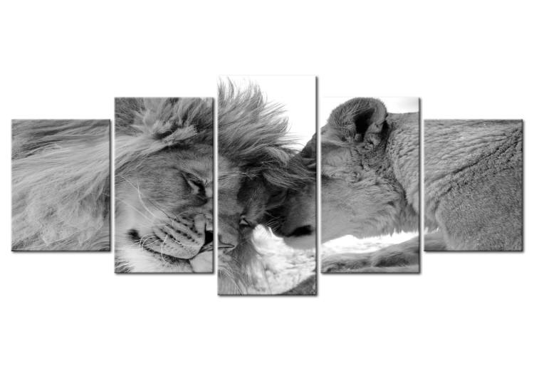 Canvas Print Lion's Love (5-part) Wide - Pair of Lions in Black and White