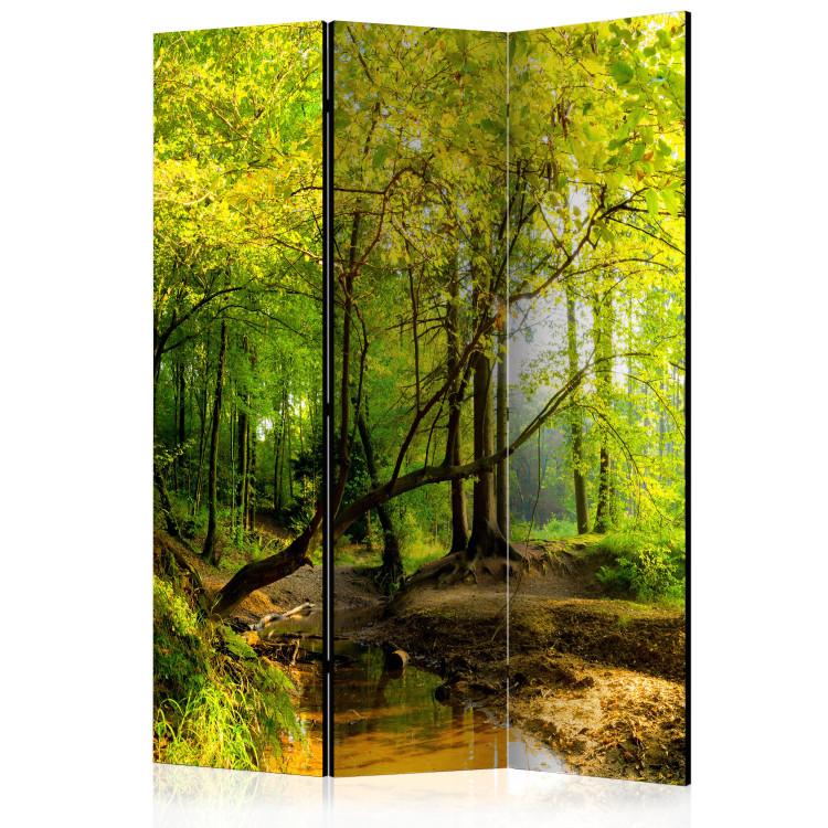 Room Divider Forest Glade - autumn landscape of forest with yellow leaves and water