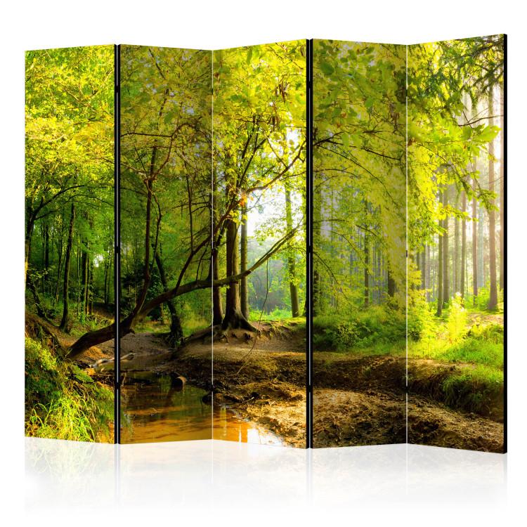 Room Divider Forest Clearing II [Room Dividers]