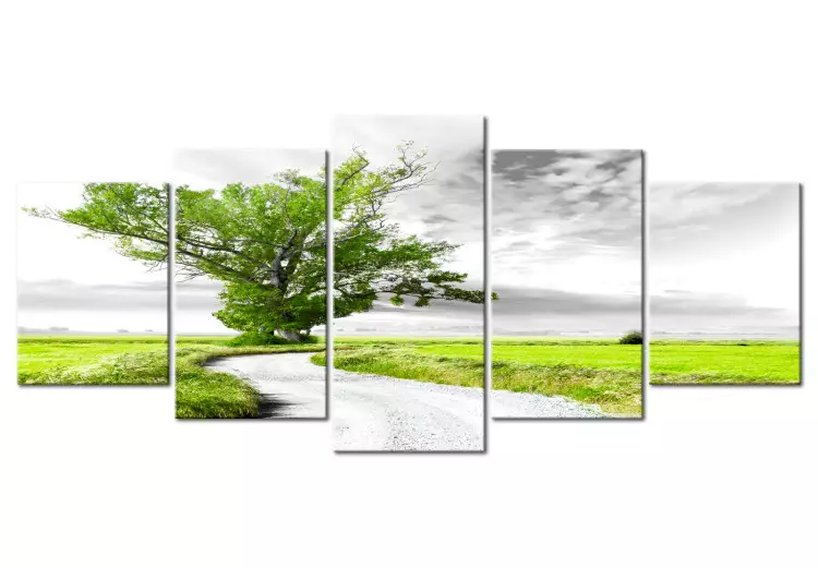 Canvas Print Lonely Tree (5-part) - Landscape of Tree with Clouds and Nature Background
