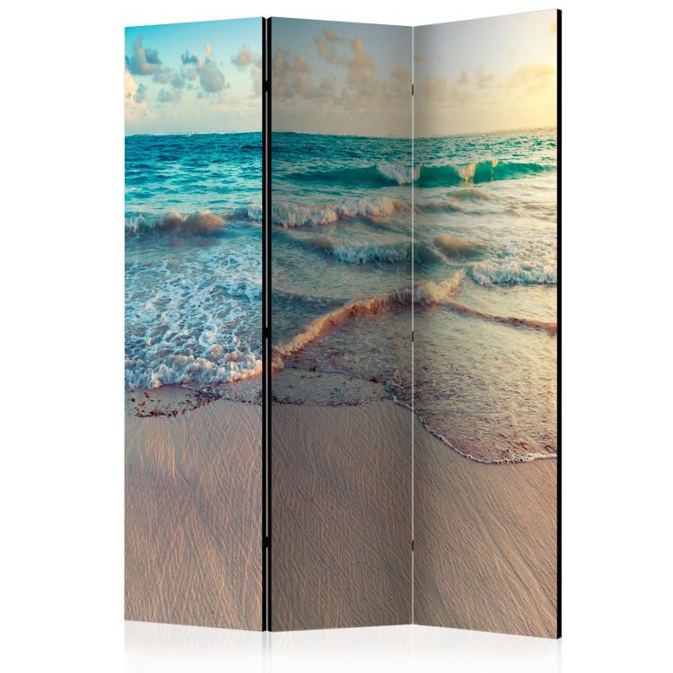 Room Divider Beach in Punta Cana - tropical landscape of sand and sea against the sky