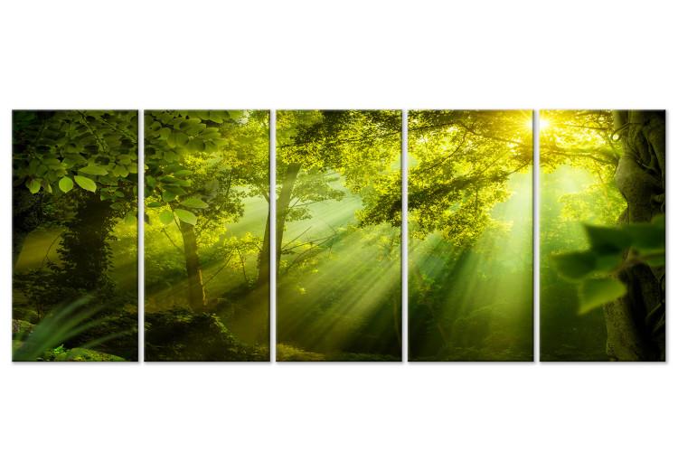 Canvas Print In the Sunlight (5-part) Narrow - Enchanting Green Forest Landscape