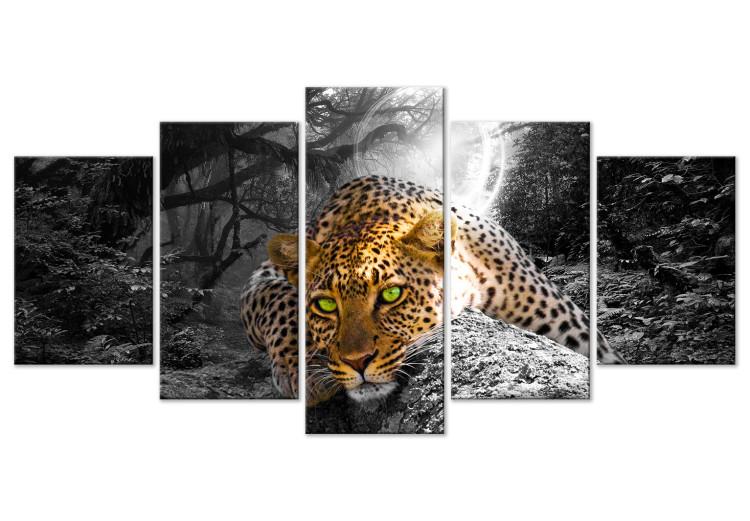 Canvas Print Lying Leopard (5-part) Wide - Wild Cat on Gray Forest Background