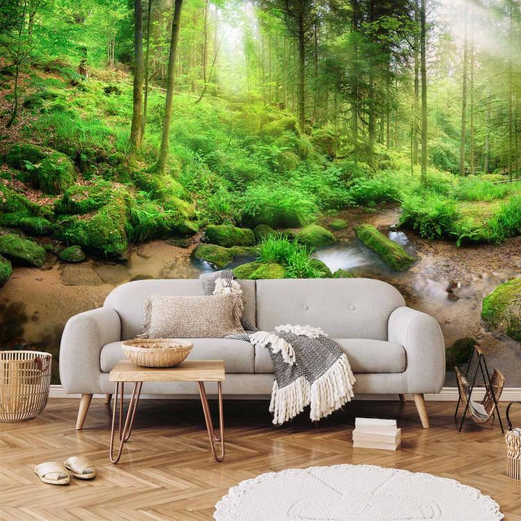 Wall Mural Humid Forest