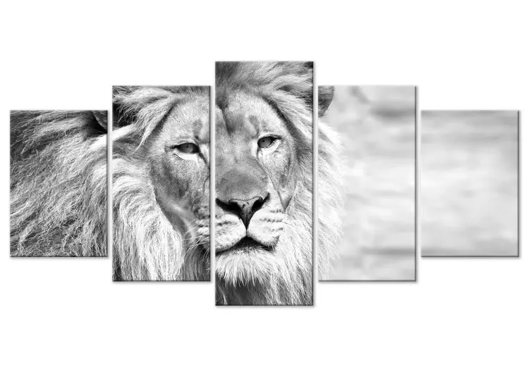 Canvas Print Lion King (5-part) Wide Black and White - African Wild Cat