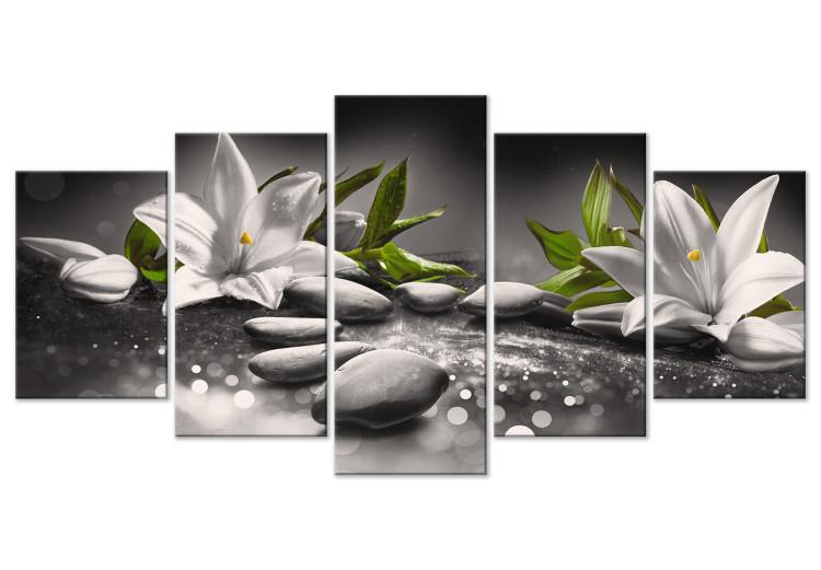 Canvas Print Lilies and Stones (5-part) Wide Gray - Nature in Zen Style