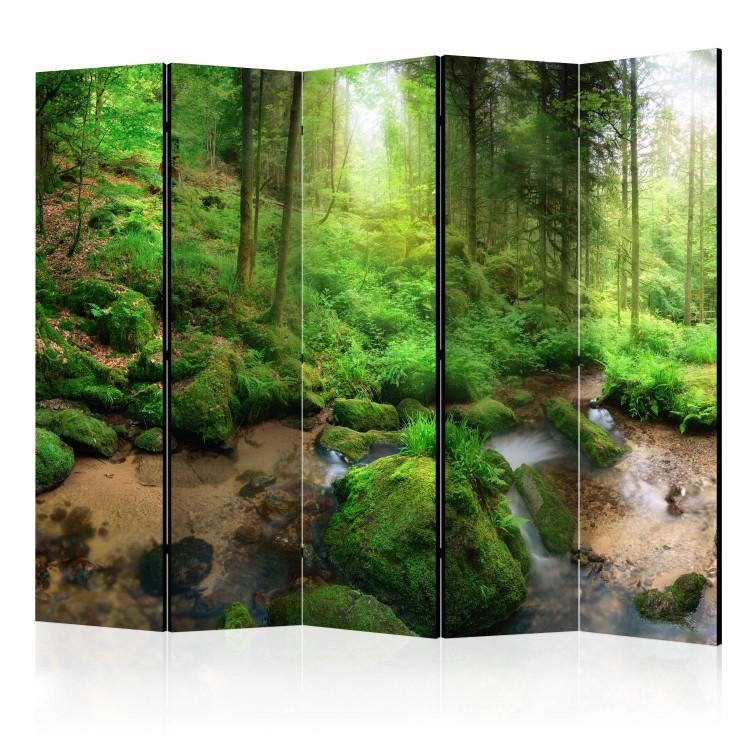Room Divider Moist Forest II - green landscape of a moist forest with water and stones