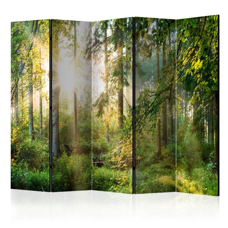 Room Divider Untamed Nature II - forest landscape against sunlight