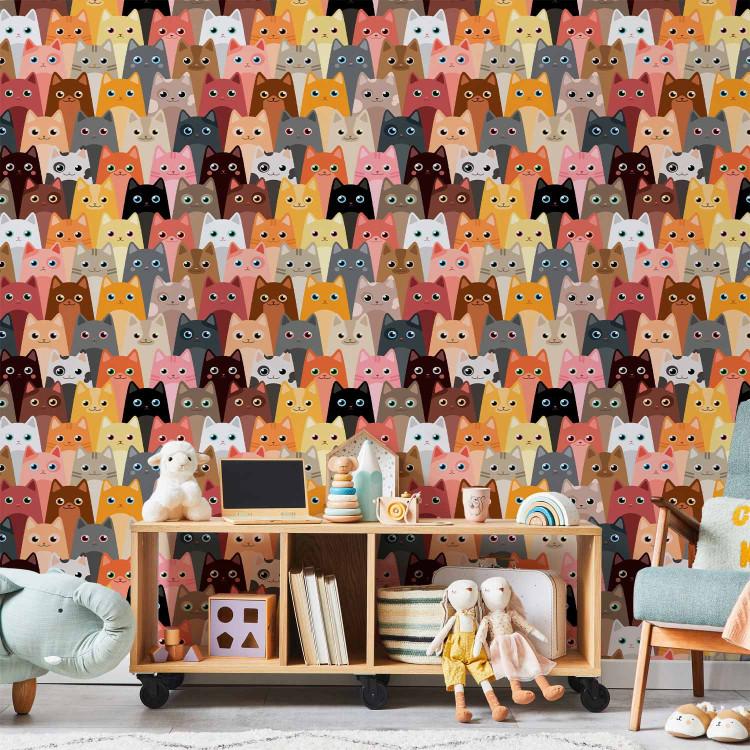 Wallpaper Bunch of Cats