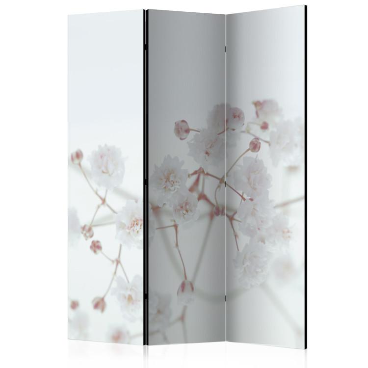 Room Divider White Flowers - natural flowers with a slightly pink stem on a white background