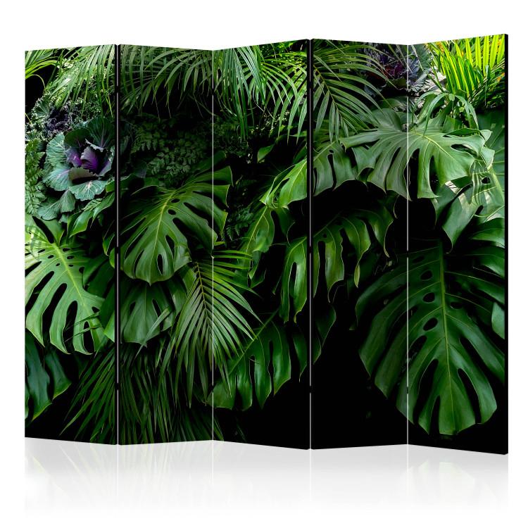 Room Divider Rainforests II - landscape of tropical monstera leaves against a jungle backdrop