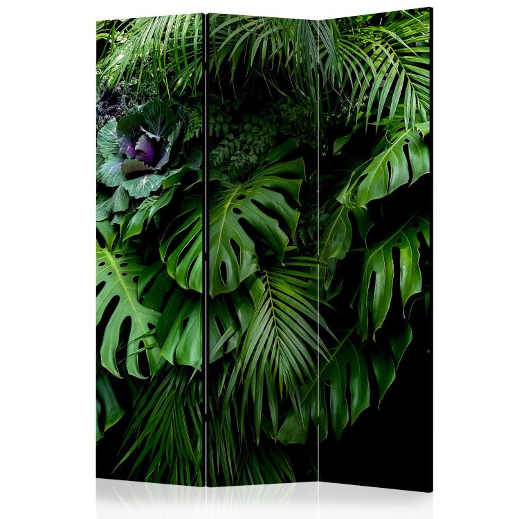 Room Divider Rainforests - landscape of tropical monstera leaves against a jungle backdrop