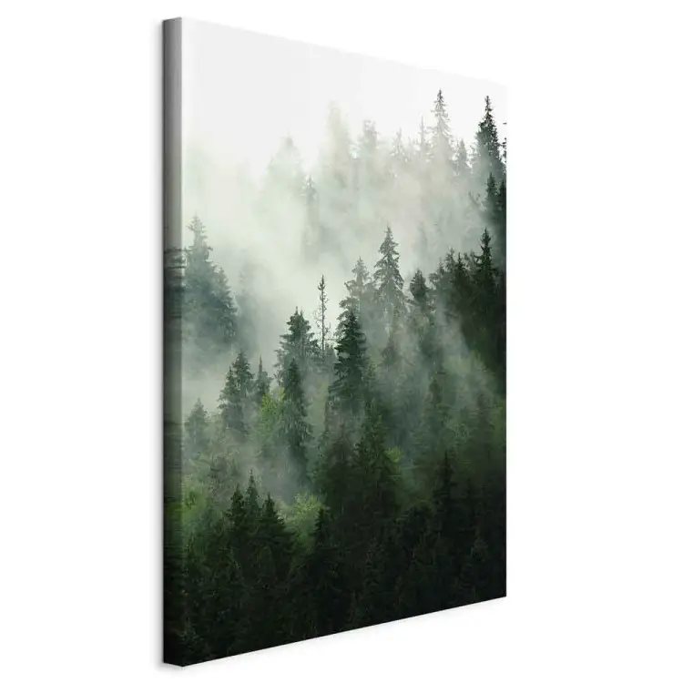 Coniferous Forest Vertical